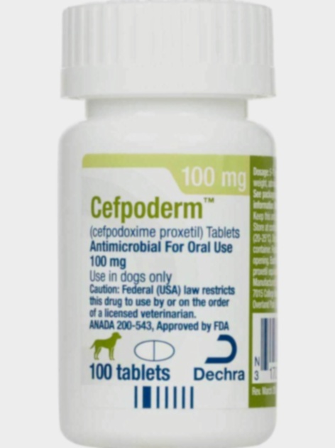 cefpodoxime